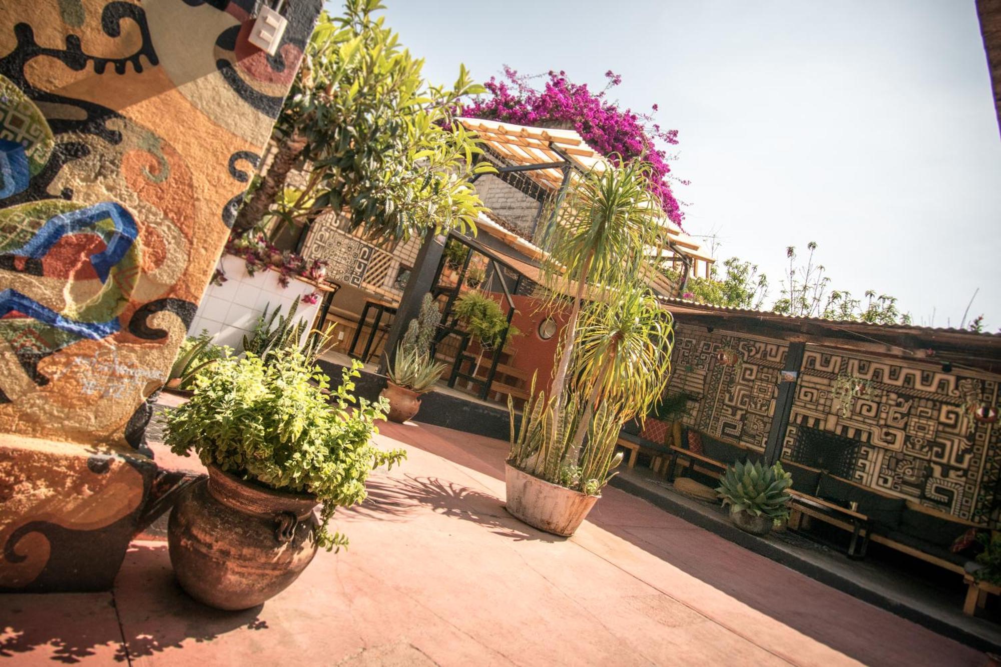 13 Cielos Hostel & Coworking San Cristobal de las Casas Ngoại thất bức ảnh